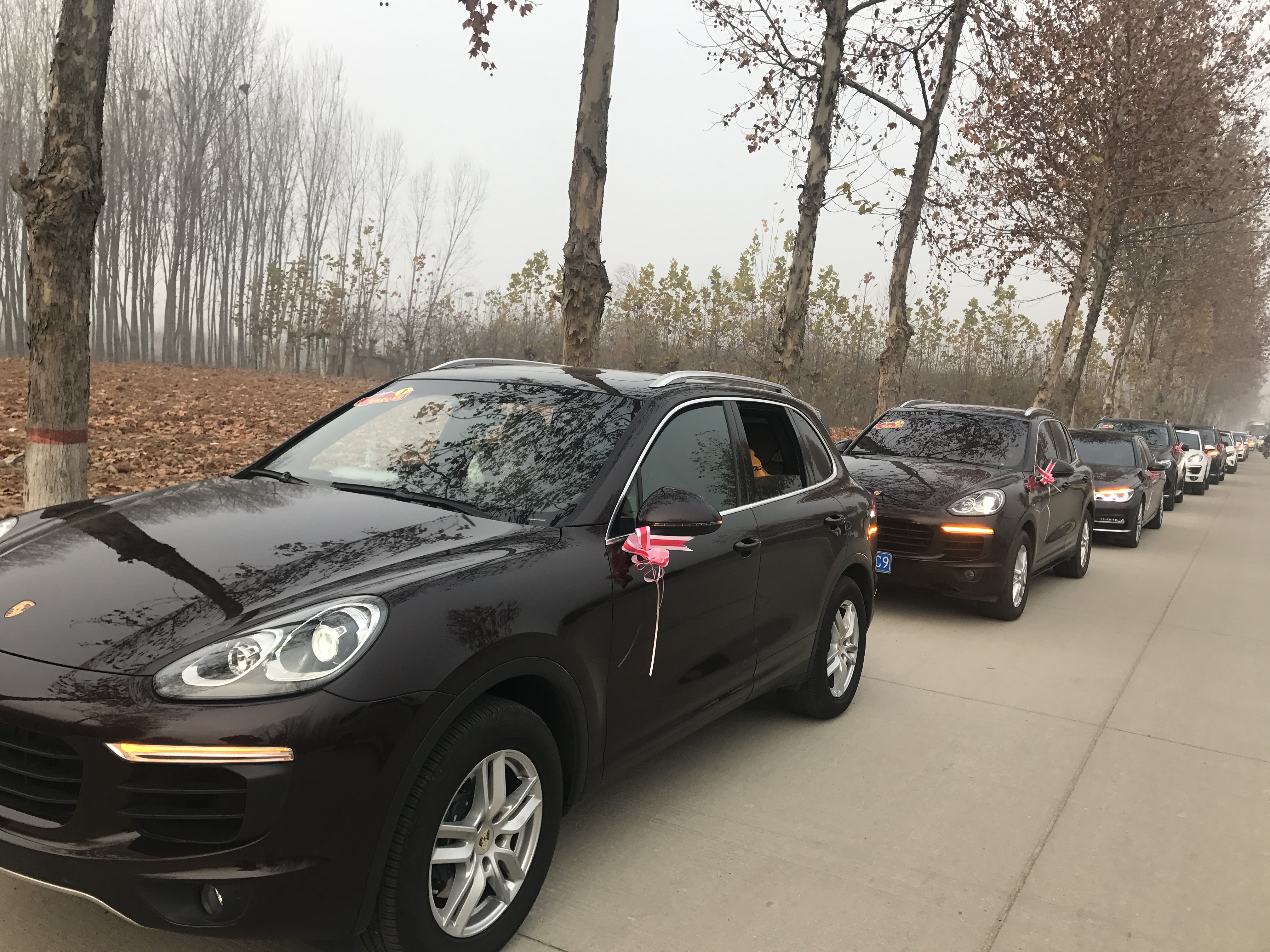 第183所 泰安市岱岳区良庄镇欧亿体育李娜小学 第183所 泰安市岱岳区良庄镇欧亿体育李娜小学