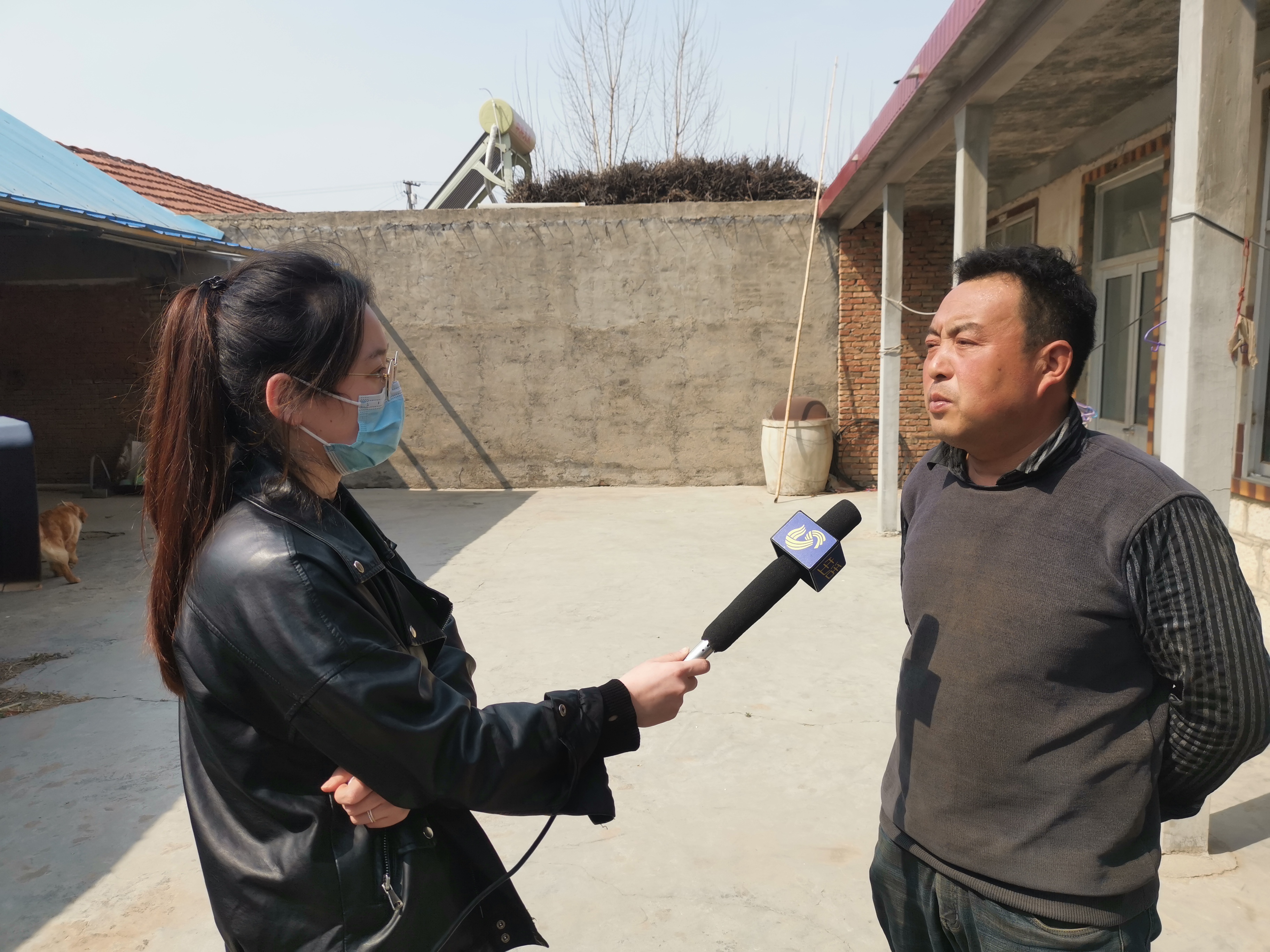 第209所 平度市崔家集镇状元府欧亿体育刘丽新小学