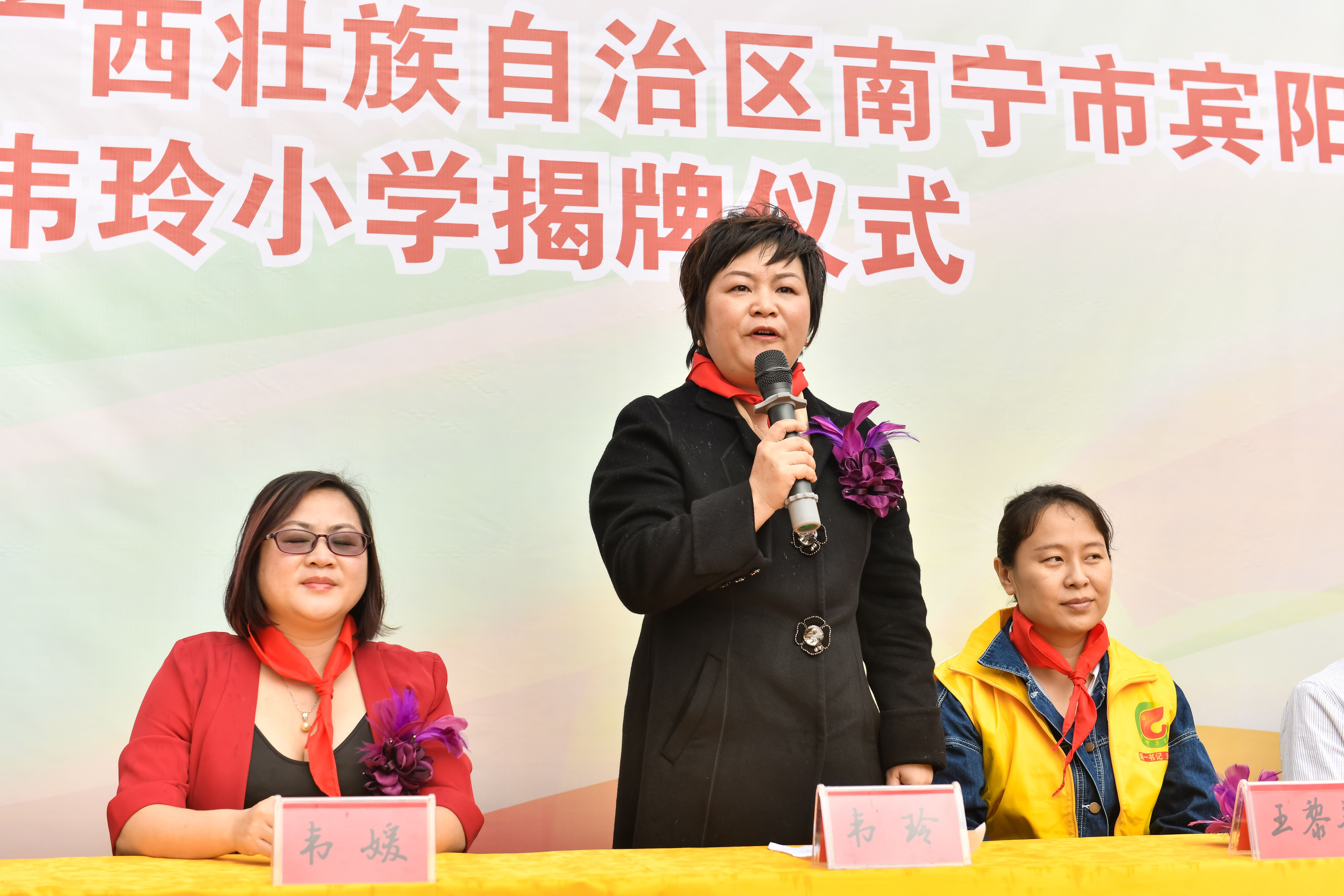 第184所 南宁市宾阳县思陇镇昆仑村欧亿体育韦玲小学 第184所 南宁市宾阳县思陇镇昆仑村欧亿体育韦玲小学